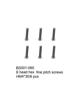 B head hex fine pitch screws HM4x30 6 pcs