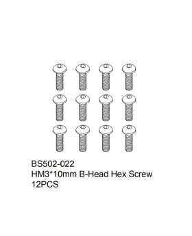 HM3x10mm B-Head Hex Screw  12PCS