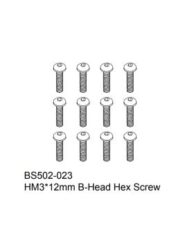 HM3x12mm B-Head Hex Screw 12PCS