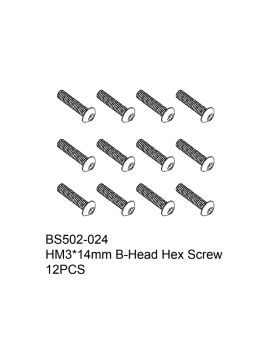 HM3x14mm B-Head Hex Screw 12PCS
