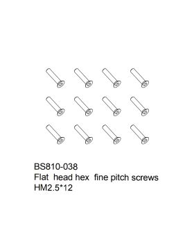 Flat  head hex fine pitch screws HM2.5x12 