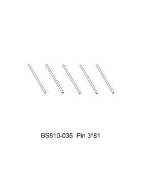 Pin 3x81