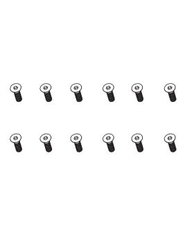 Flat Head Hex Screw HM3x10 