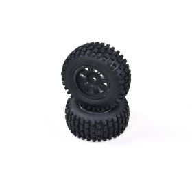 Roapex SC Renkaat ja vanteet