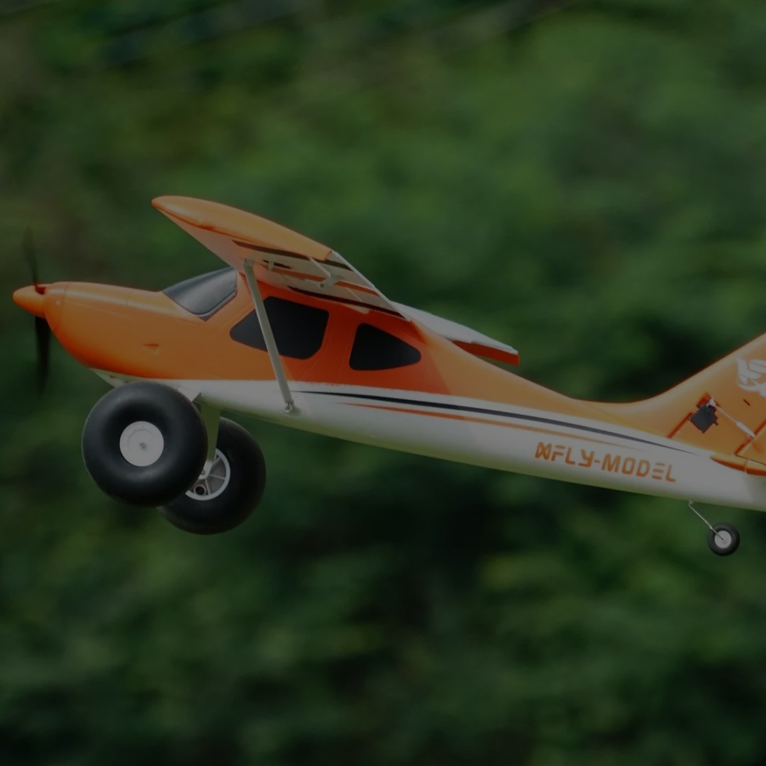 RC Flyg